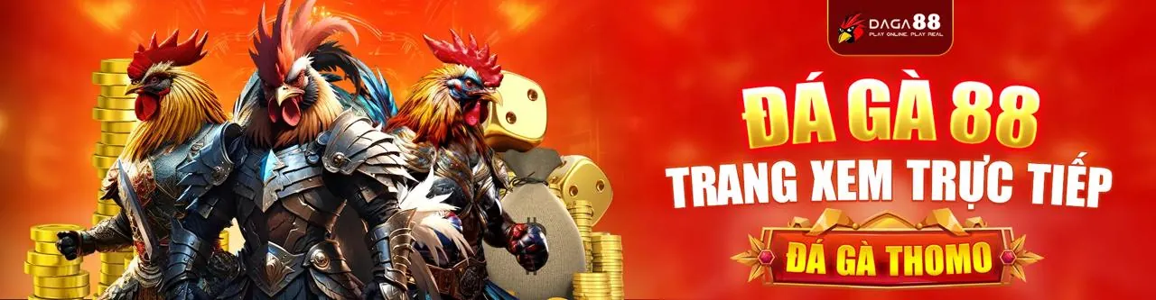Đá gà trực tuyến new 8